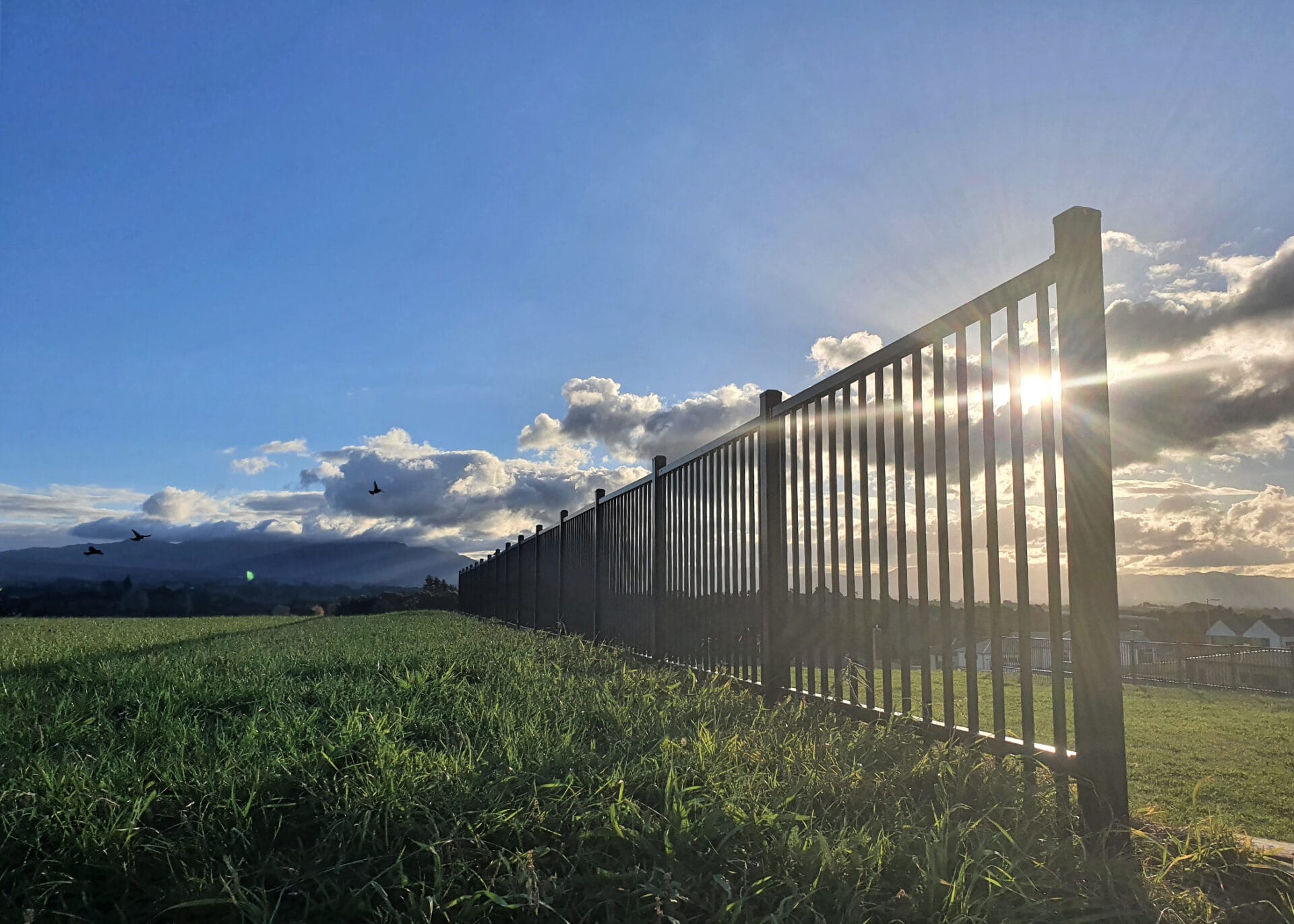 aluminium reserve fencing at a public park, designed and installed by Axiom Fencing, Balustrades & Gates in Canterbury NZ